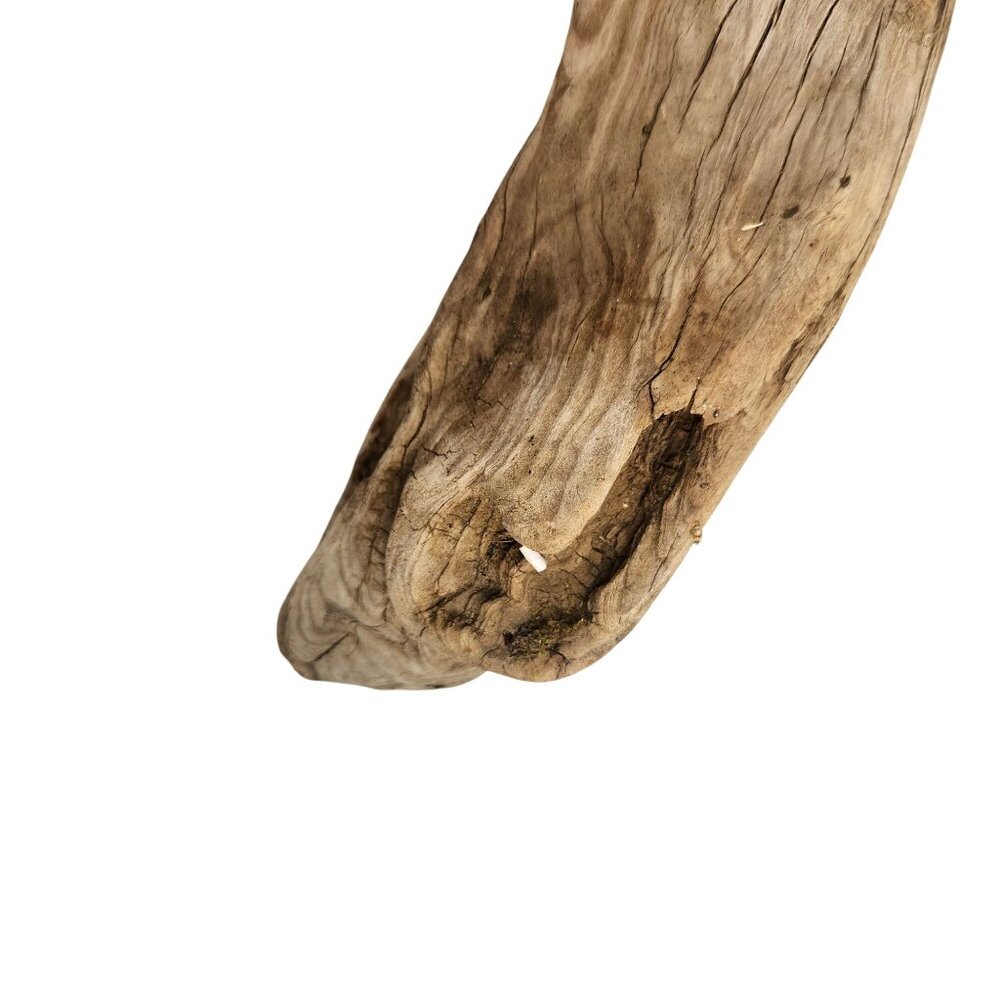 Natural Driftwood Decor Piece For Crafting Aquariums Reptile Tanks Or Rustic Dis - Picture 7 of 14